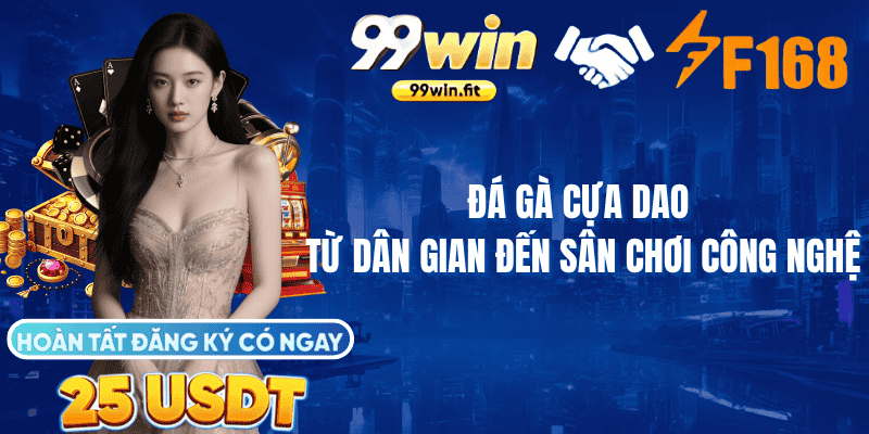 Đá Gà Cựa Dao – Từ Dân Gian Đến Sân Chơi Công Nghệ