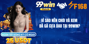Vì Sao Nên Chơi Và Xem Đá Gà Cựa Dao Tại 99win?